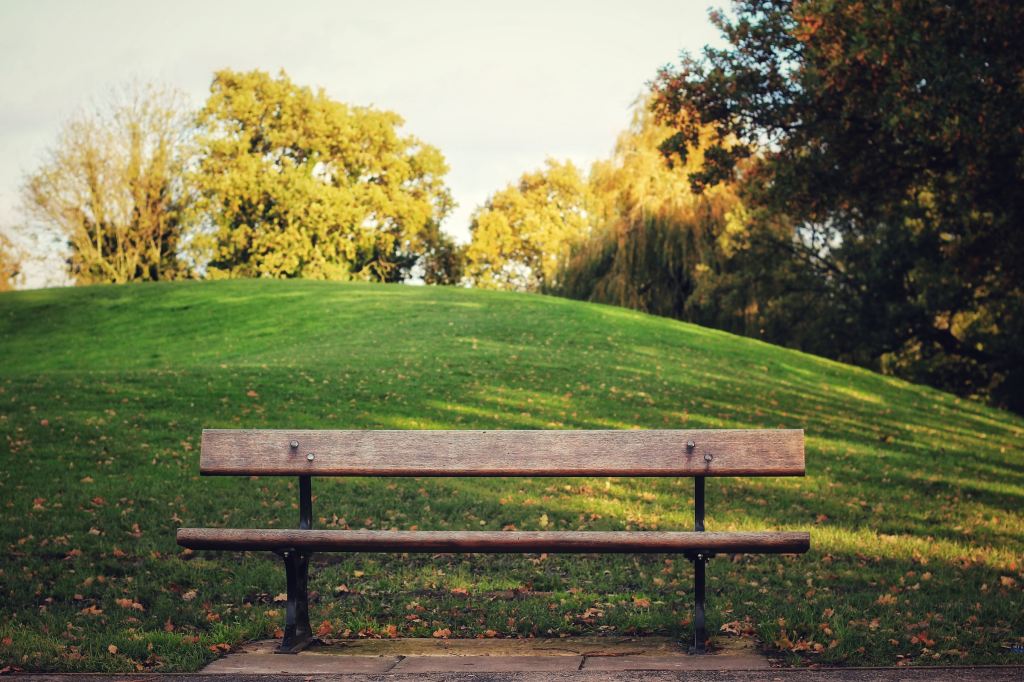 A Walk in the Park: Social Norms and Normativity